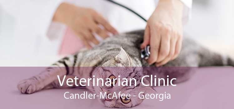 Veterinarian Clinic Candler-McAfee - Georgia