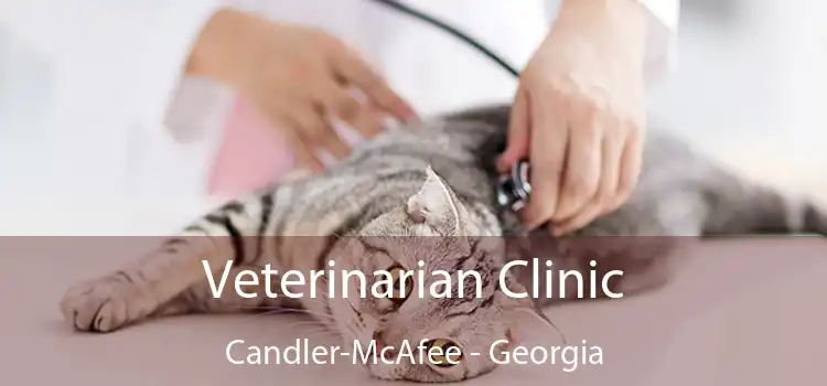 Veterinarian Clinic Candler-McAfee - Georgia