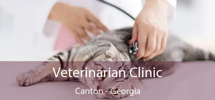 Veterinarian Clinic Canton - Georgia