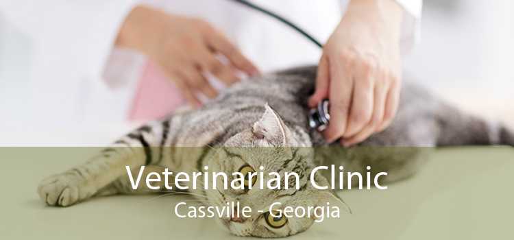 Veterinarian Clinic Cassville - Georgia