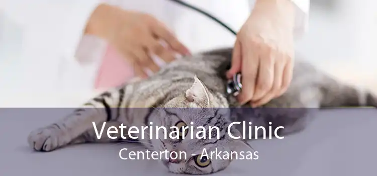 Veterinarian Clinic Centerton - Arkansas
