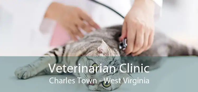 Veterinarian Clinic Charles Town - West Virginia