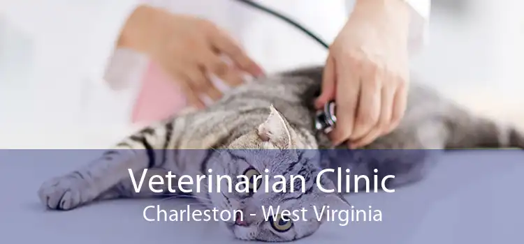 Veterinarian Clinic Charleston - West Virginia