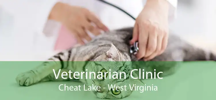 Veterinarian Clinic Cheat Lake - West Virginia