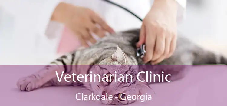 Veterinarian Clinic Clarkdale - Georgia