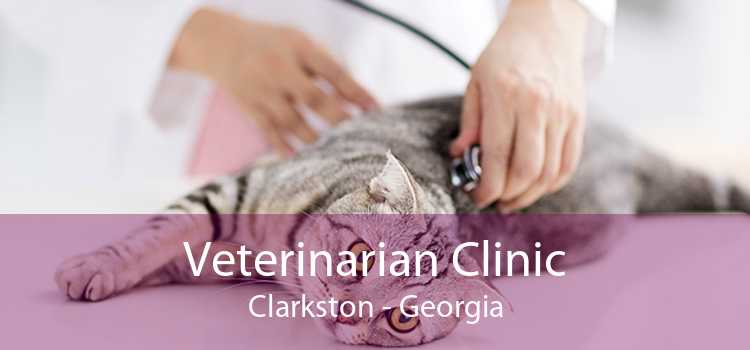 Veterinarian Clinic Clarkston - Georgia