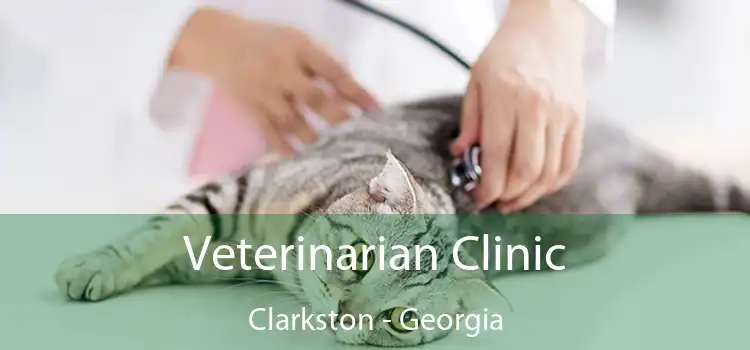 Veterinarian Clinic Clarkston - Georgia