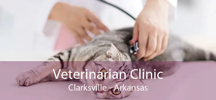 Veterinarian Clinic Clarksville - Arkansas