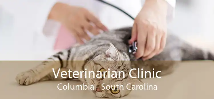 Veterinarian Clinic Columbia - South Carolina