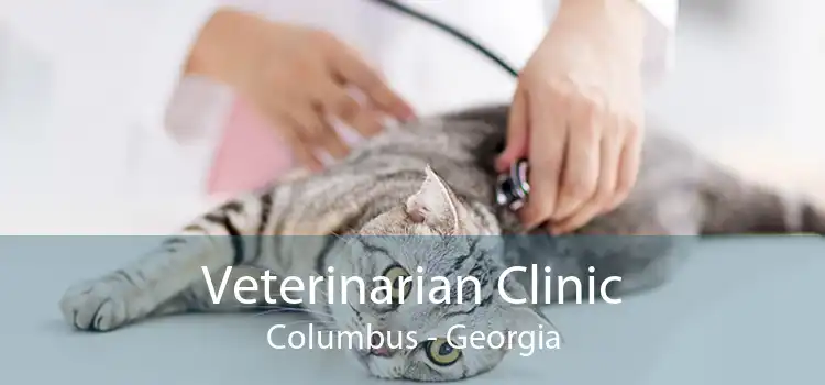 Veterinarian Clinic Columbus - Georgia