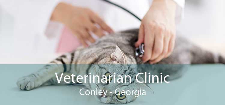 Veterinarian Clinic Conley - Georgia