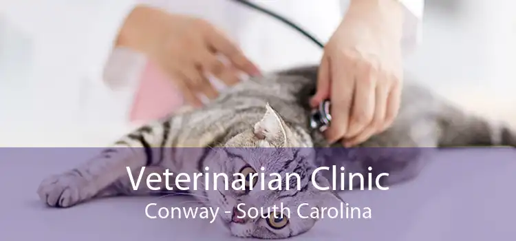Veterinarian Clinic Conway - South Carolina