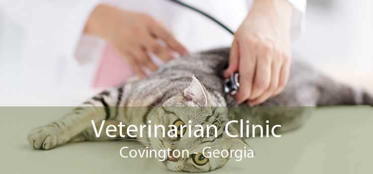 Veterinarian Clinic Covington - Georgia
