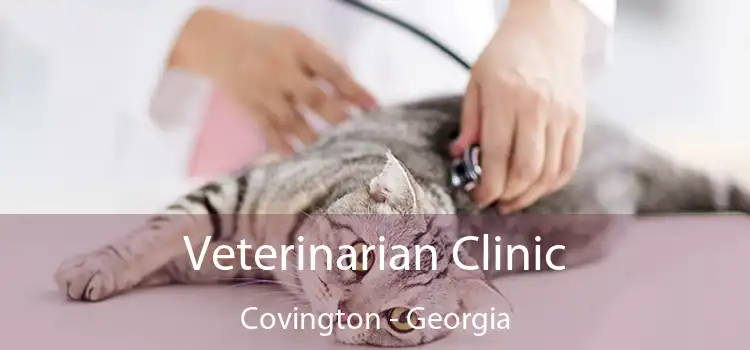 Veterinarian Clinic Covington - Georgia