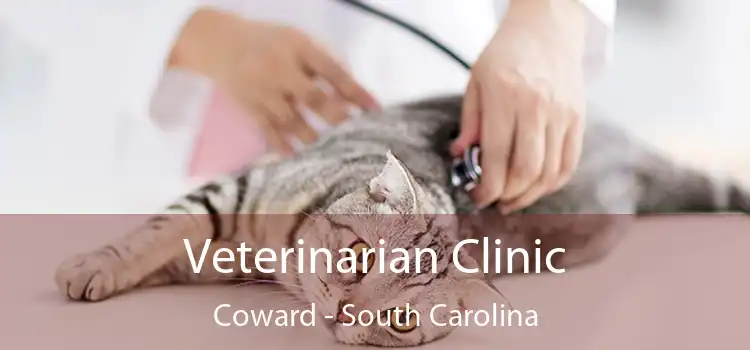 Veterinarian Clinic Coward - South Carolina