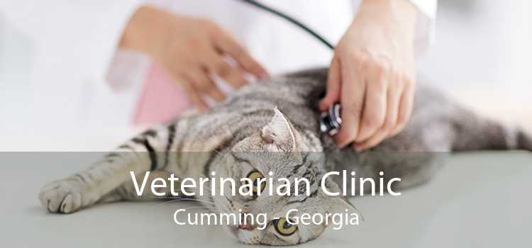 Veterinarian Clinic Cumming - Georgia