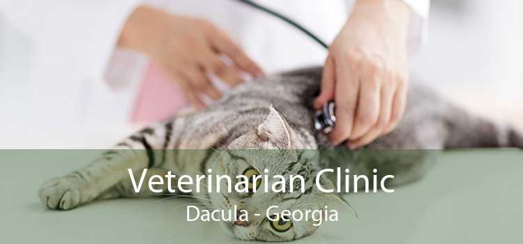 Veterinarian Clinic Dacula - Georgia
