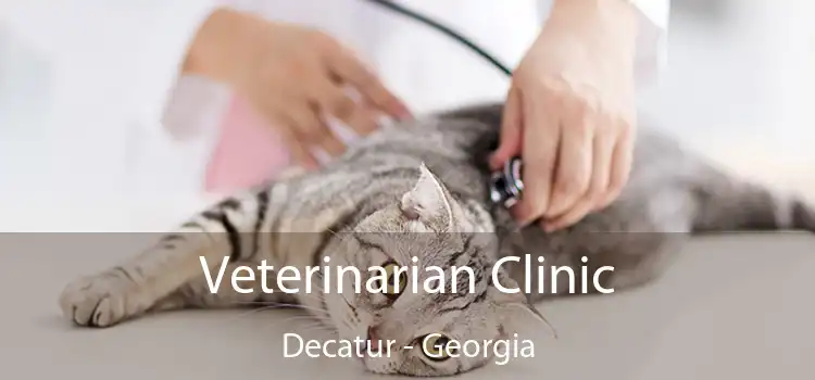 Veterinarian Clinic Decatur - Georgia