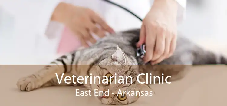 Veterinarian Clinic East End - Arkansas