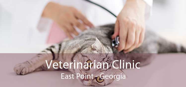 Veterinarian Clinic East Point - Georgia