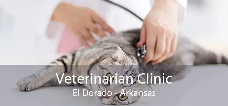 Veterinarian Clinic El Dorado - Arkansas