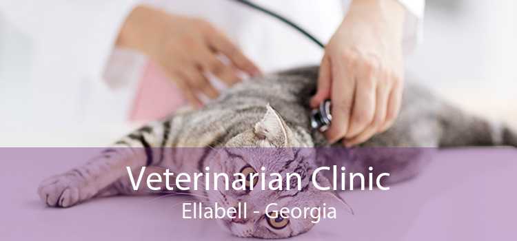 Veterinarian Clinic Ellabell - Georgia