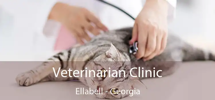 Veterinarian Clinic Ellabell - Georgia