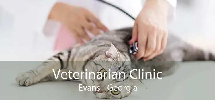 Veterinarian Clinic Evans - Georgia