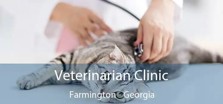 Veterinarian Clinic Farmington - Georgia