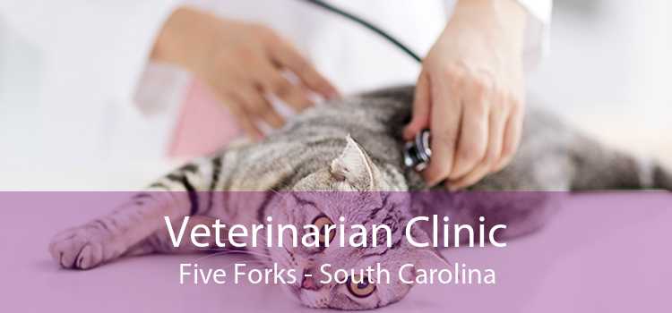 Veterinarian Clinic Five Forks - South Carolina