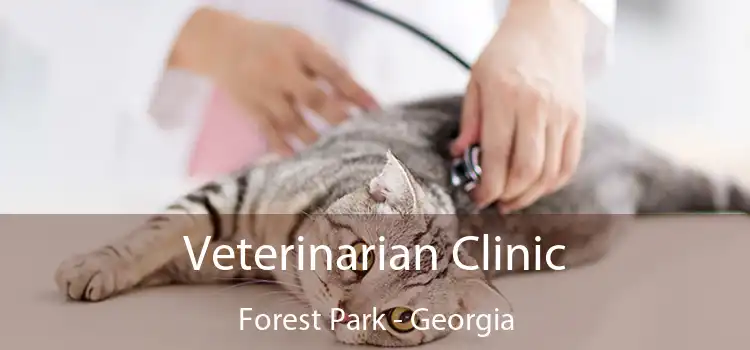 Veterinarian Clinic Forest Park - Georgia