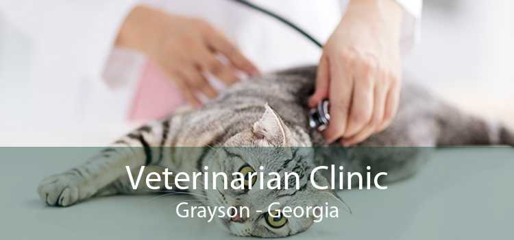 Veterinarian Clinic Grayson - Georgia