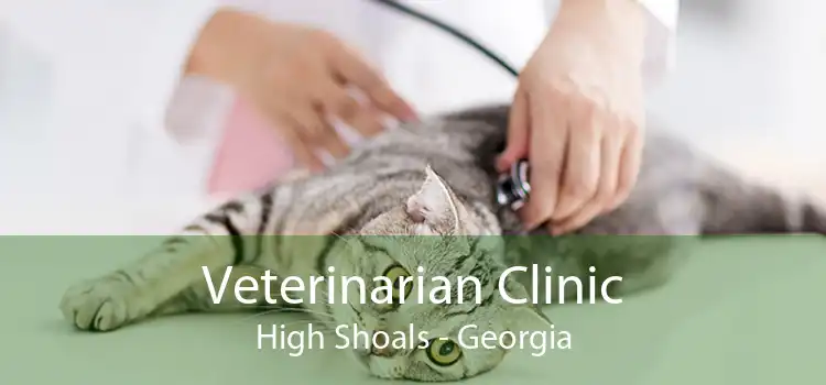 Veterinarian Clinic High Shoals - Georgia