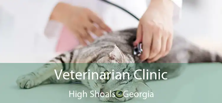 Veterinarian Clinic High Shoals - Georgia