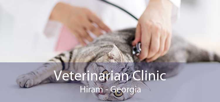 Veterinarian Clinic Hiram - Georgia