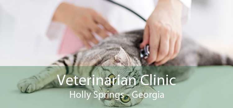 Veterinarian Clinic Holly Springs - Georgia