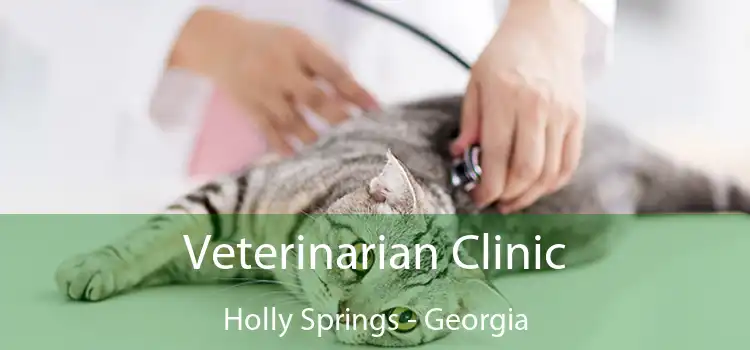 Veterinarian Clinic Holly Springs - Georgia