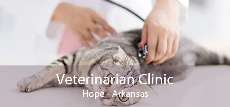 Veterinarian Clinic Hope - Arkansas