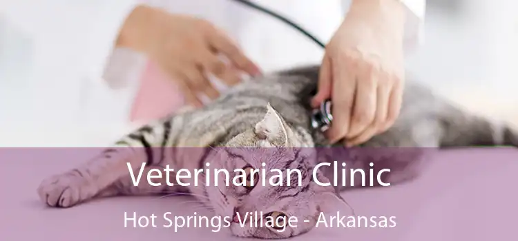 Veterinarian Clinic Hot Springs Village - Arkansas