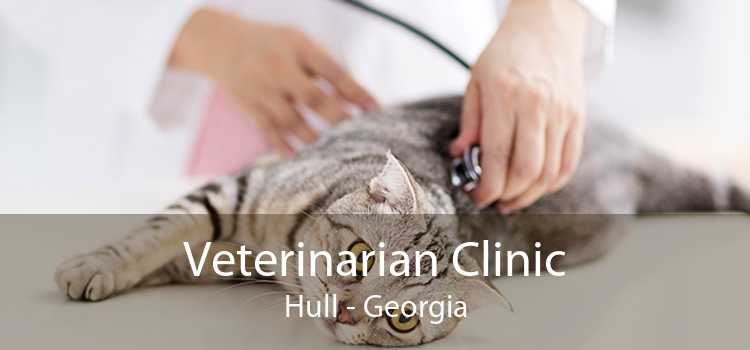 Veterinarian Clinic Hull - Georgia