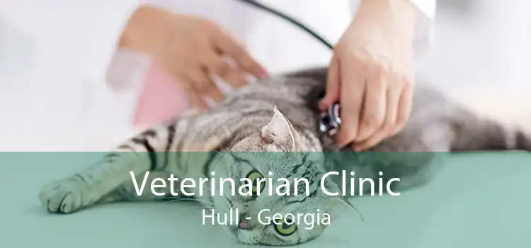 Veterinarian Clinic Hull - Georgia