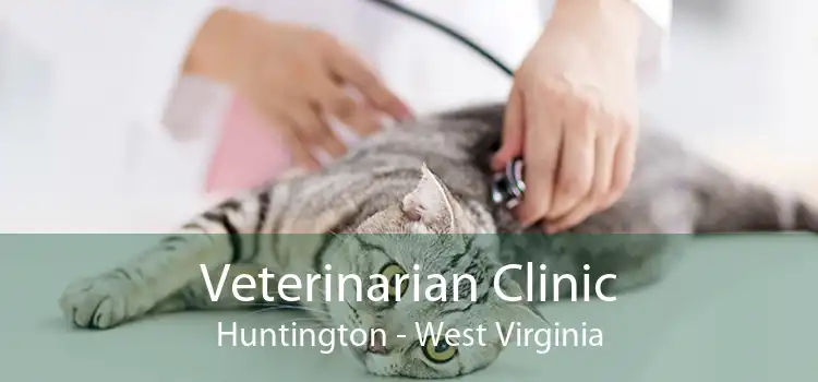 Veterinarian Clinic Huntington - West Virginia