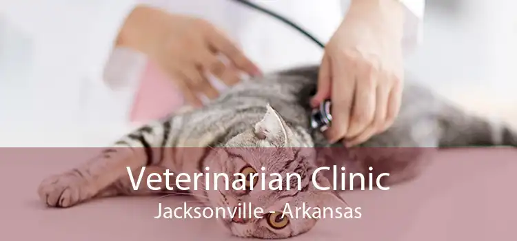 Veterinarian Clinic Jacksonville - Arkansas