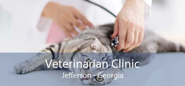 Veterinarian Clinic Jefferson - Georgia