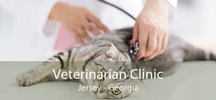Veterinarian Clinic Jersey - Georgia
