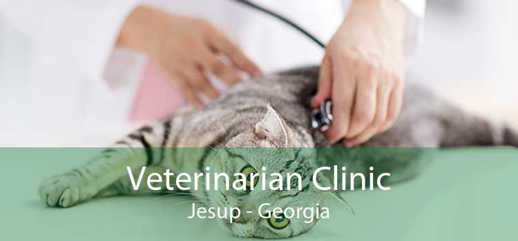 Veterinarian Clinic Jesup - Georgia