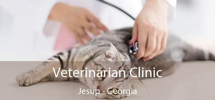 Veterinarian Clinic Jesup - Georgia