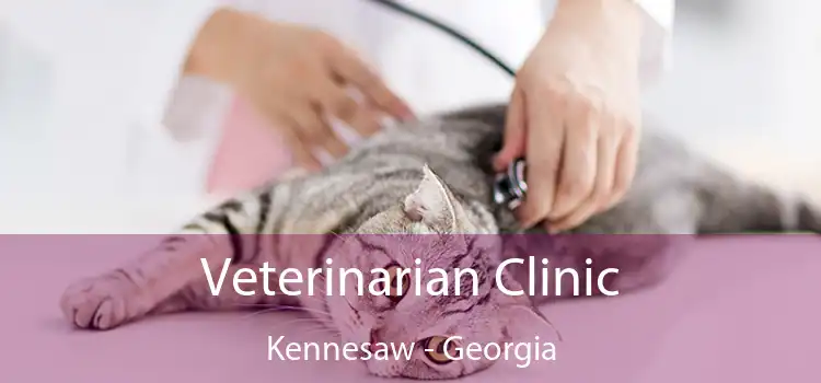 Veterinarian Clinic Kennesaw - Georgia