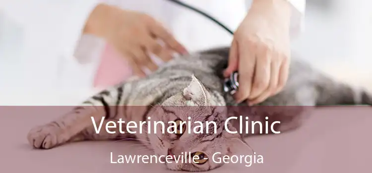Veterinarian Clinic Lawrenceville - Georgia