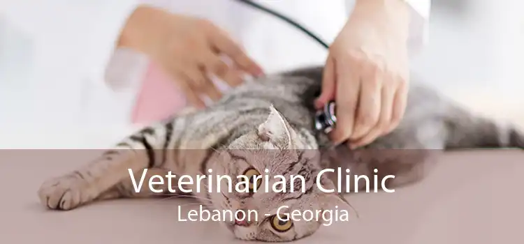 Veterinarian Clinic Lebanon - Georgia